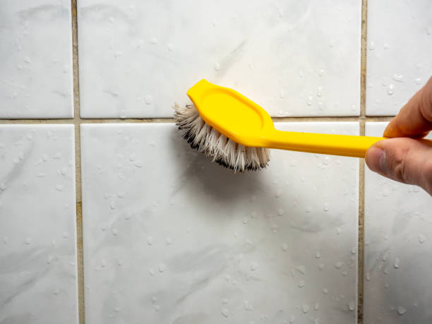 Best Toxic Mold Removal  in Great Neck, NY
